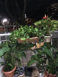 Blk 111 Commonwealth Crescent (Queenstown), HDB 3 Rooms #152020692